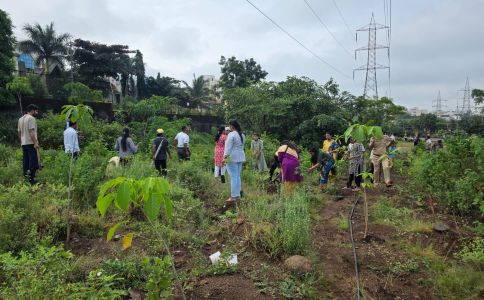 पर्यावरणविषयक समस्यांबद्दल जागरूकता निर्माण करण्यासाठी वृक्षारोपण कार्यक्रम साजरा